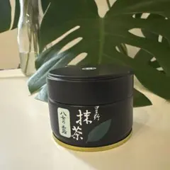 抹茶 御家元御好】 星野園製抹茶「舞之白」20g缶 裏千家 坐忘斎御家元