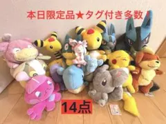 本日限定品 ポケモン ぬいぐるみ まとめ売り ニンフィア くつろぎ 