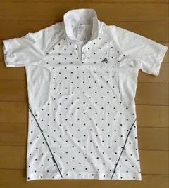 Item thumbnail for item 3c6f8d7e-184c-4091-bcfb-2ec96316726f