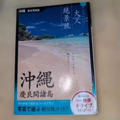 Item thumbnail for item 783ac68f-17b1-43c4-8dec-4cf5baf71e35