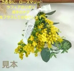 Item thumbnail for item 78c2a981-ec63-4a96-b191-db02f6f8326e