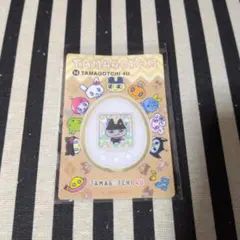 大たまごっち展 たまごっち くろまめっち シールダス めもりある ステッカー