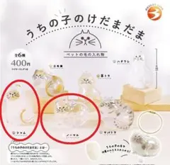 glglgl様検討品　うちの子のけだまだま　２種セット【ノーマル・シャム】