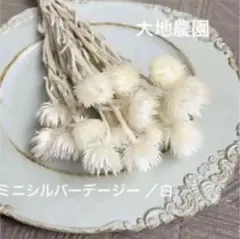 mayuuu様　ご専用