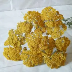 imaruya_108様 リクエスト 2点 まとめ商品