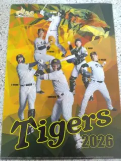 新品 阪神タイガース 80周年記念 クリアファイル 3枚セット 藤浪 上本