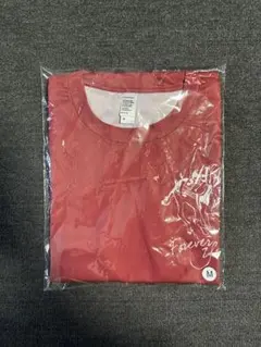 ノーザンホースパークマラソン2026 Tシャツ Mサイズのサムネイル