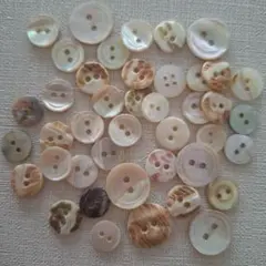 Item thumbnail for item 537ab223-1558-489e-9eef-8cd682dd2feb