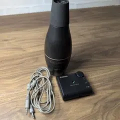 Item thumbnail for item 16261b7b-5ead-4639-83e8-8df4dd68f008