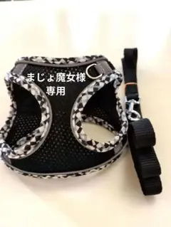 Item thumbnail for item d004a766-4263-410f-95fa-e7002b419012