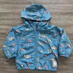 ウインドブレーカー 100