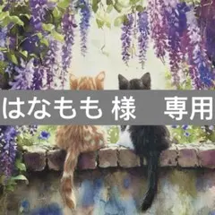 はなもも様　専用