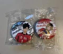 黒尾鉄朗・孤爪研磨 缶バッジ 2個セット