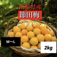 木成り完全完熟❗️山形県産『節田梅』2L〜特大合計4kg 木成り完全完熟❗️山形県産『節田梅』2L2kg - メルカリ
