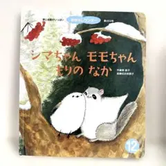 ナムコ「ワンダーモモ」下敷き未使用品 NAMCO MUSEUM OF ART ナムコレジェンダリー下敷きシリーズ