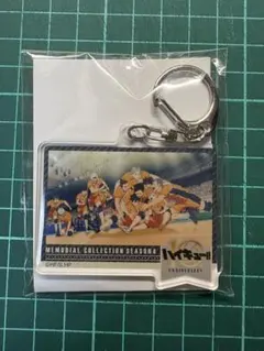 ハイキュー　10th メモリアル　アクリルキーホルダー　アクキー　烏野