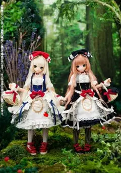 2025年最新】リミテッドドール 白雪姫の人気アイテム - メルカリ