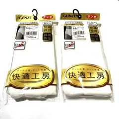 GUNZE快適工房ブリーフパンツＬＬ×2