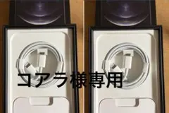 Apple Lightningケーブル タイプC