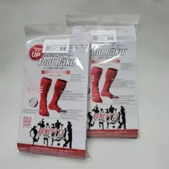 Item thumbnail for item 57844a33-ad0a-4801-8d6b-f72a390cbe86