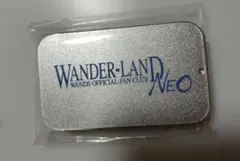 WANDS FADNS フライトタグ 2023 上原大史 USAGI WANDS FADNS フライトタグ 2023 上原大史 USAGI - メルカリ