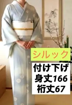 超美品 東レ シルック 【単衣】縞 花柄 付け下げ 小紋のサムネイル