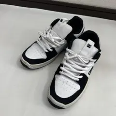 Item thumbnail for item 38207a33-f431-4bb5-85b3-d6c9b0c45082