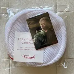 Triumph メッシュ洗濯ネット ポストカード付き