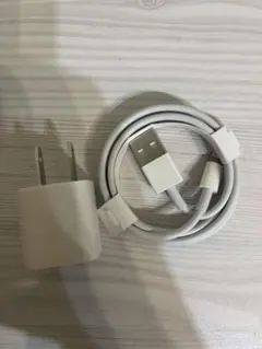 Lightningケーブルと充電器セット