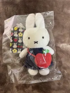 2026年最新】オータムフルーツミッフィーの人気アイテム - メルカリ