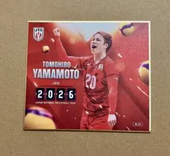 バレーボール女子日本代表 中川つかさ トレーディングmini色紙 - メルカリ