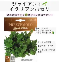 たか様 リクエスト 2点 まとめ商品