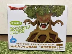 ドラゴンクエスト じんめんじゅの植木鉢 種付き栽培キット　パセリのサムネイル