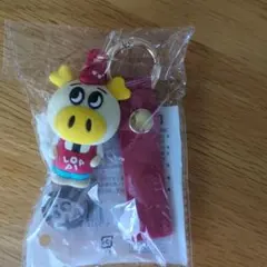 ロピア専用カートキー