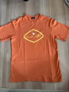 Item thumbnail for item dc782d2e-1bb2-4882-9516-f785daf26f06