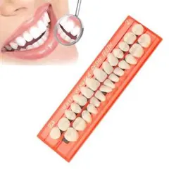 Item thumbnail for item 27f167e7-ddb6-4eb1-a492-3e512afb9f5c