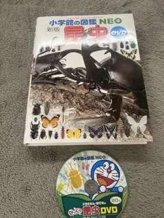 小学館の図鑑NEO 昆虫 DVDあり カバーあり　ほとんど使ってないです