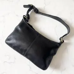 コーチ ワンショルダーバッグ アクセサリーポーチ シボ革 肩掛け 