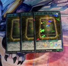 Item thumbnail for item 3694eea2-091e-4dcd-a760-fc754a1e675f