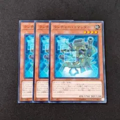 カラカラ辛子様 リクエスト 3点 まとめ売り