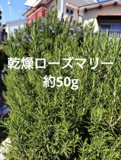 タマ様 リクエスト 3点 まとめ商品 - メルカリ
