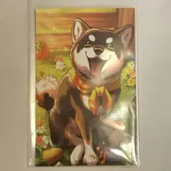 黒井しば にじさんじ ノスタルジアコレクション 2025