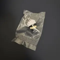 呪術廻戦　めじるしアクセサリー　五条悟