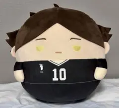 ハイキュー 角名倫太郎 ふわコロりん big