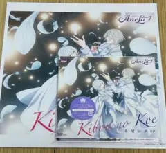Anela 希望の声 初回生産限定盤 メガジャケ付