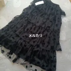 Item thumbnail for item 6215df0b-3a65-4071-8795-66beecff1c40