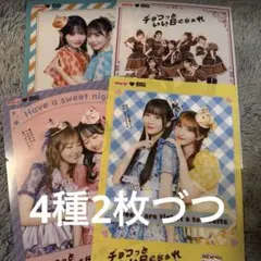 フルーツジッパー NEW OKASHI PROJECT ファイル4種2セット