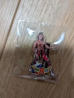 ゆうキャン様 リクエスト 2点 まとめ商品