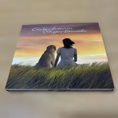初秋