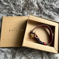 COACH 犬用首輪 シグネチャー柄✨チャーム付のサムネイル